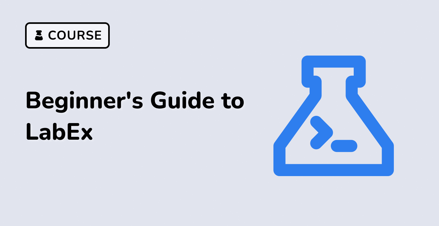 A Beginner's Guide to LabEx