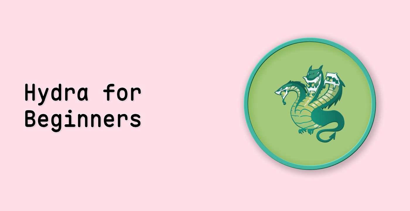 Hydra for Beginners