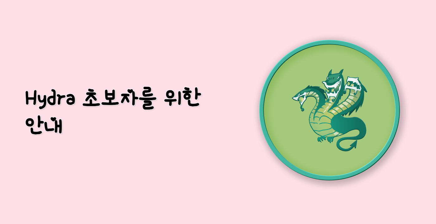 Hydra 초보자를 위한 안내