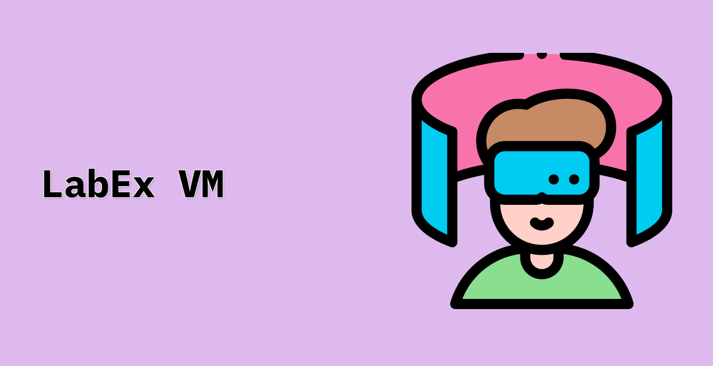 LabEx VM