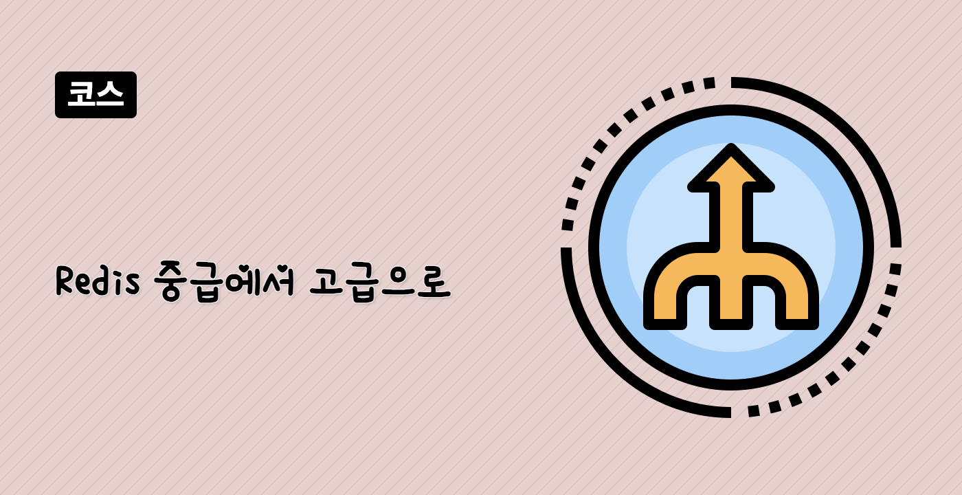 Redis 중급에서 고급으로